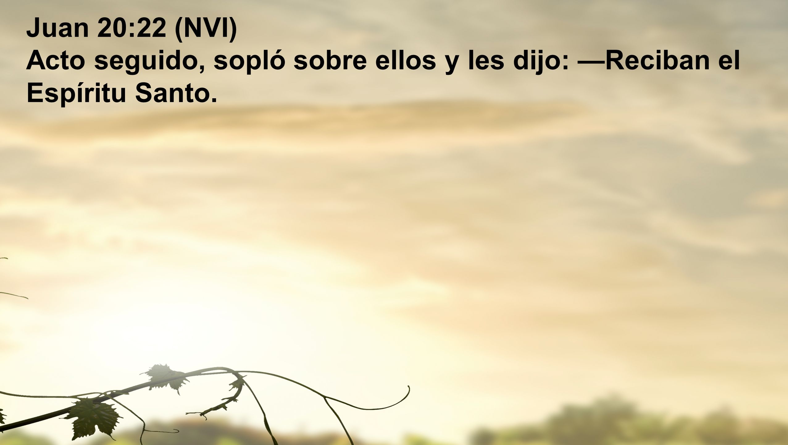 Juan 20:22 (NVI) Acto seguido, sopló sobre ellos y les dijo: —Reciban el Espíritu Santo.