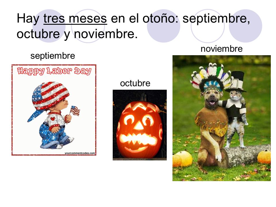 Hay tres meses en el otoño: septiembre, octubre y noviembre.