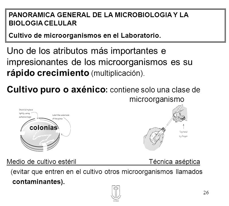 Cultivo puro o axénico: contiene solo una clase de microorganismo
