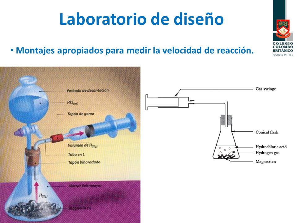 Laboratorio de diseño Montajes apropiados para medir la velocidad de reacción.