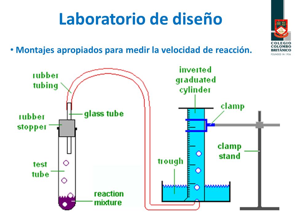 Laboratorio de diseño Montajes apropiados para medir la velocidad de reacción.