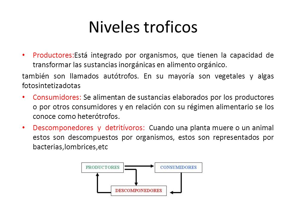 Niveles troficos Productores:Está integrado por organismos, que tienen la capacidad de transformar las sustancias inorgánicas en alimento orgánico.