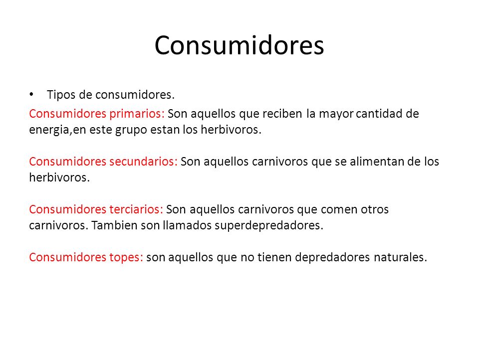 Consumidores Tipos de consumidores.