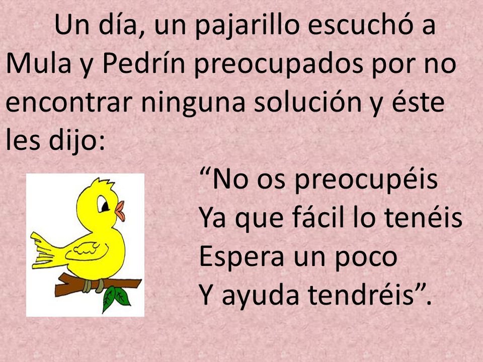 Un día, un pajarillo escuchó a Mula y Pedrín preocupados por no encontrar ninguna solución y éste les dijo:
