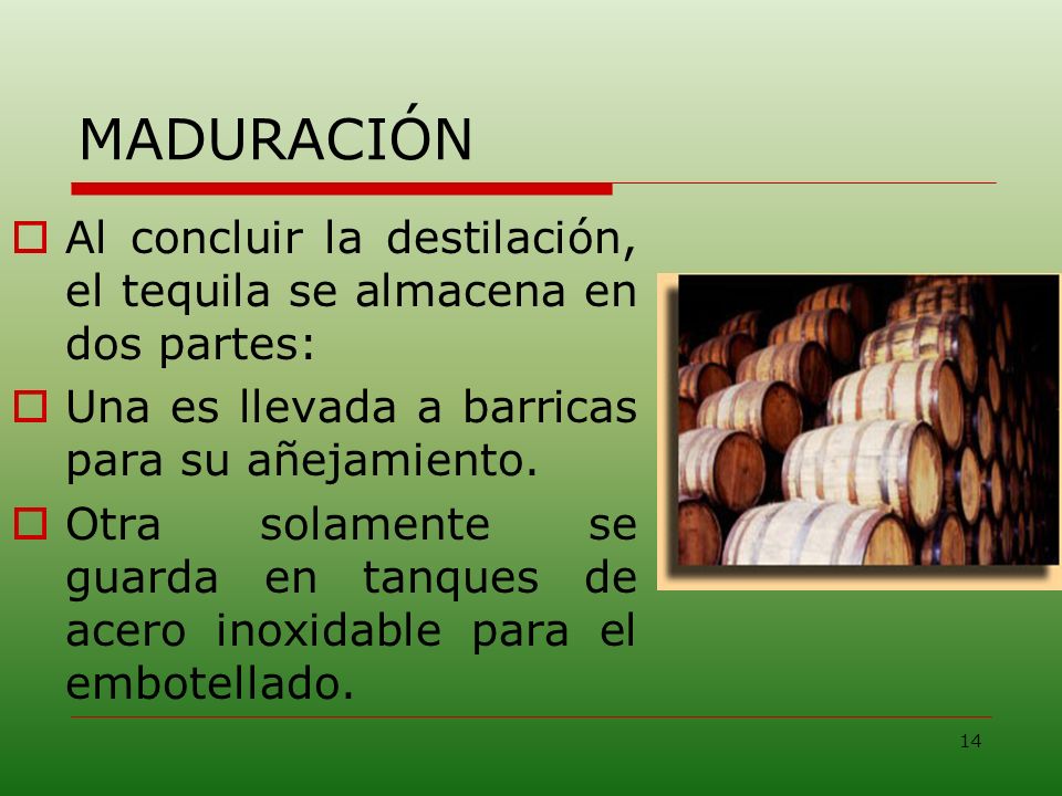 MADURACIÓN Al concluir la destilación, el tequila se almacena en dos partes: Una es llevada a barricas para su añejamiento.