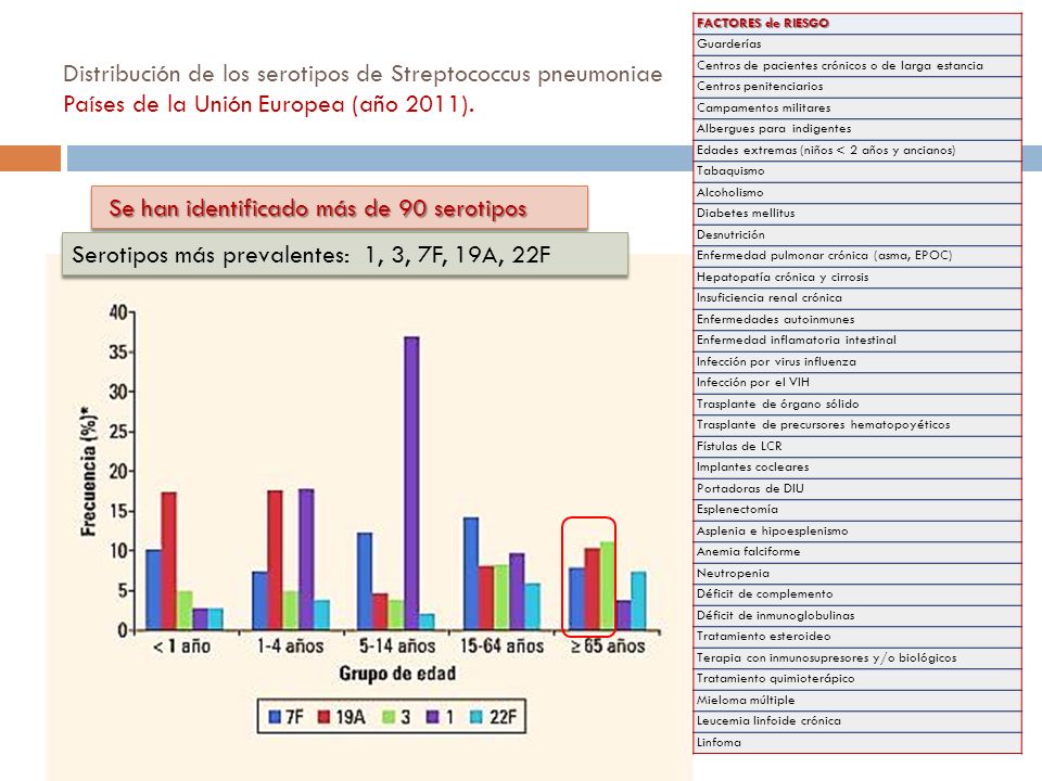 Se han identificado más de 90 serotipos