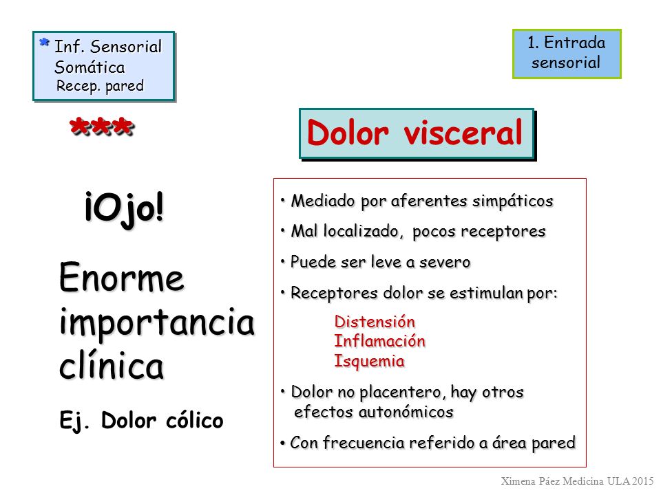 *** ¡Ojo! Enorme importancia clínica Dolor visceral Ej. Dolor cólico