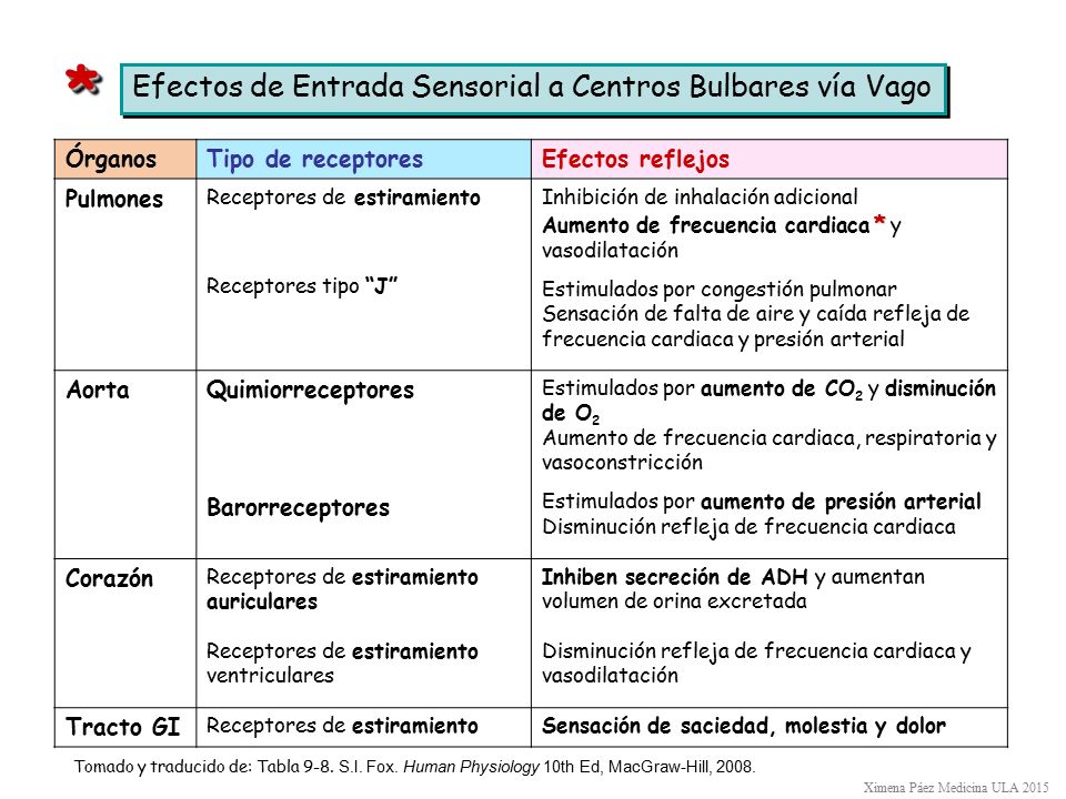 * Efectos de Entrada Sensorial a Centros Bulbares vía Vago Órganos