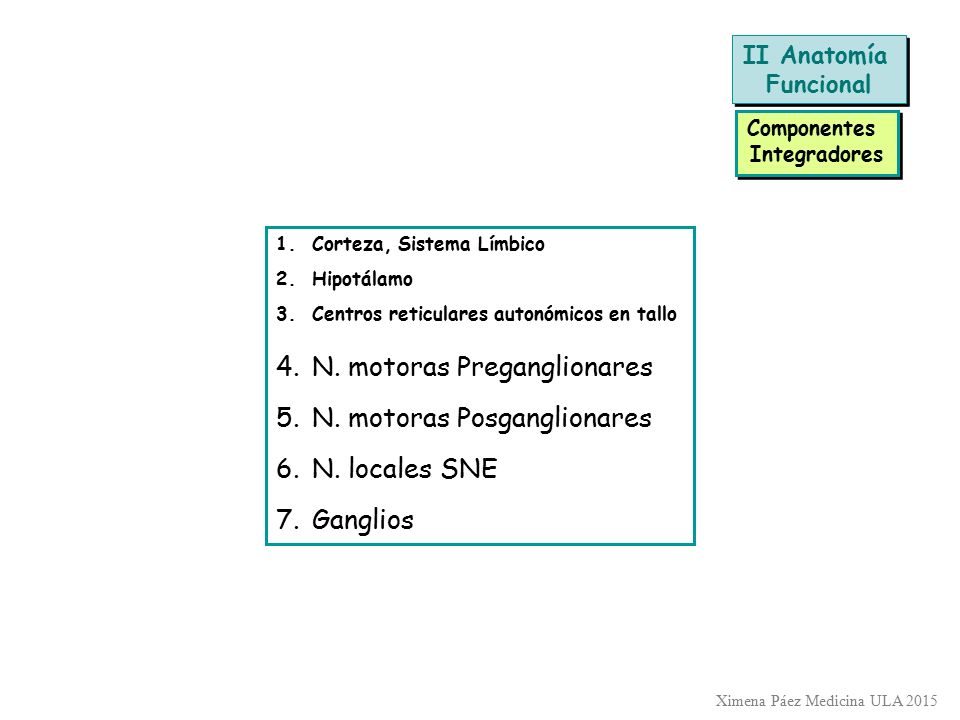 N. motoras Preganglionares N. motoras Posganglionares N. locales SNE