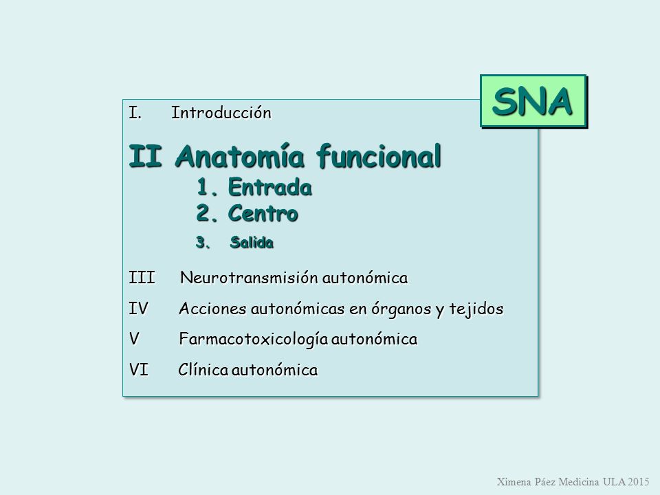 SNA II Anatomía funcional 1. Entrada 2. Centro 3. Salida Introducción