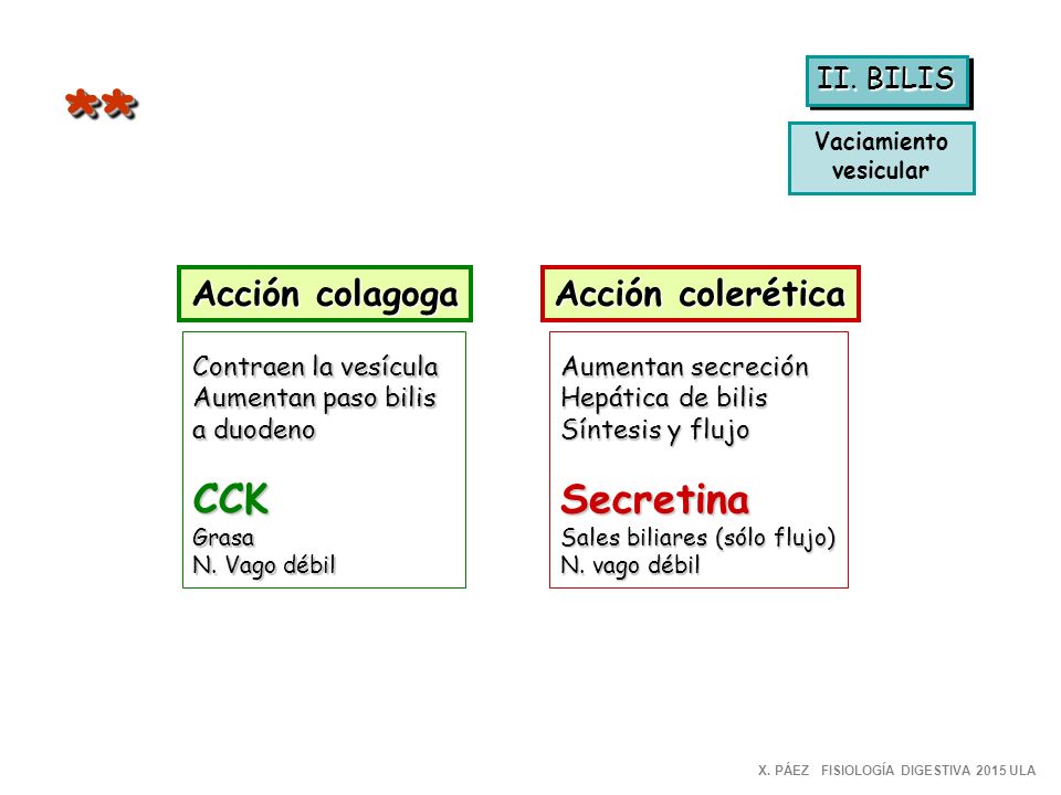 * * CCK Secretina Acción colagoga Acción colerética II. BILIS