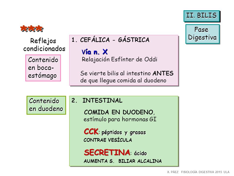 *** II. BILIS Fase Digestiva Reflejos condicionados Contenido en boca-