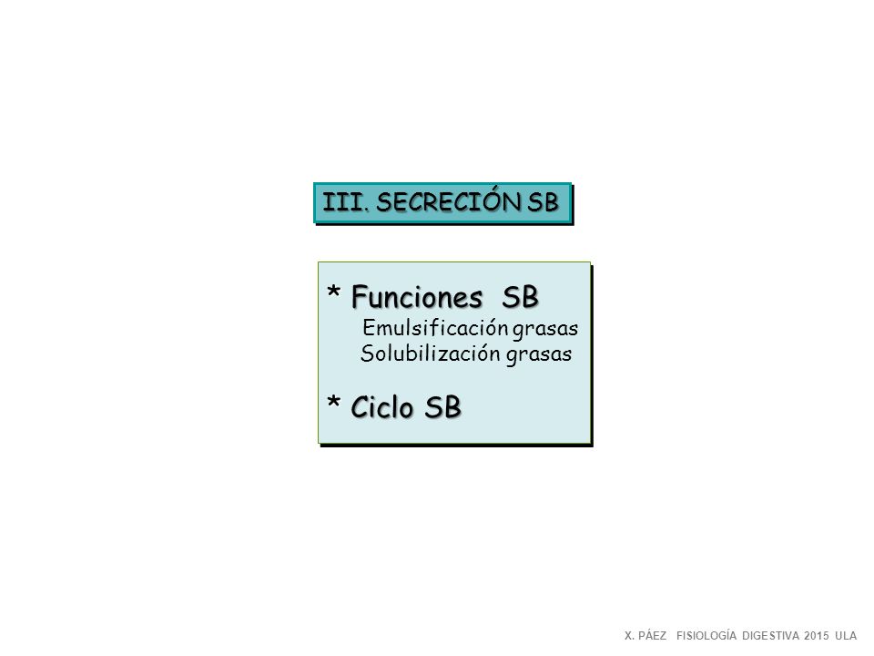 * Funciones SB * Ciclo SB III. SECRECIÓN SB Solubilización grasas