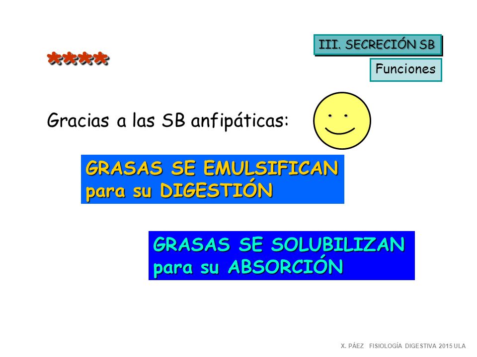 **** . . Gracias a las SB anfipáticas: GRASAS SE EMULSIFICAN