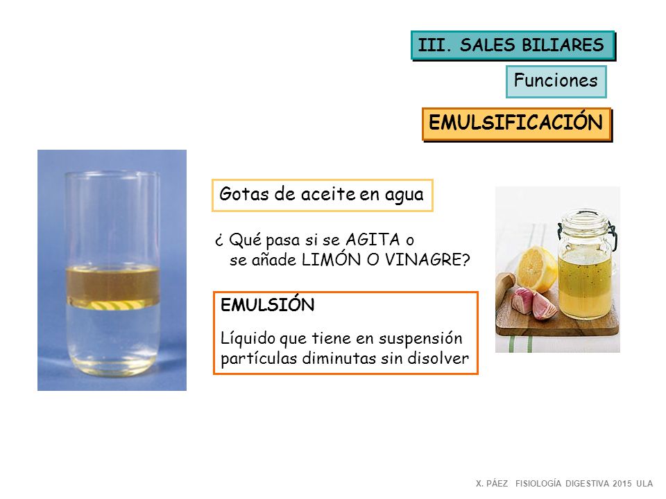 Funciones EMULSIFICACIÓN Gotas de aceite en agua III. SALES BILIARES
