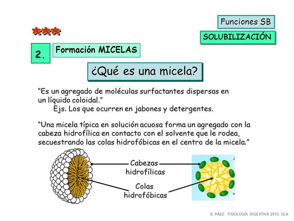 *** ¿Qué es una micela 2. Funciones SB Formación MICELAS