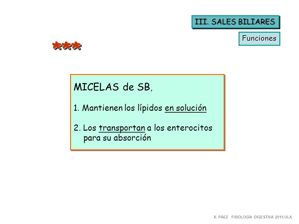 *** MICELAS de SB, 1. Mantienen los lípidos en solución