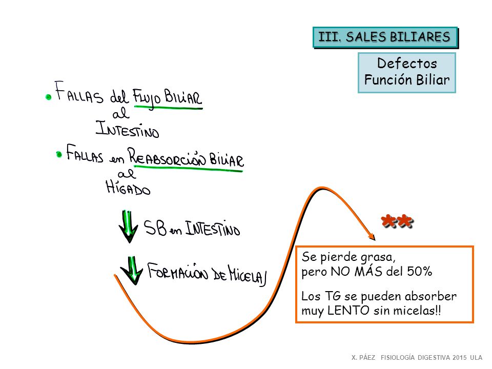 ** Defectos Función Biliar III. SALES BILIARES Se pierde grasa,