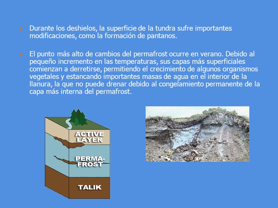 Durante los deshielos, la superficie de la tundra sufre importantes modificaciones, como la formación de pantanos.