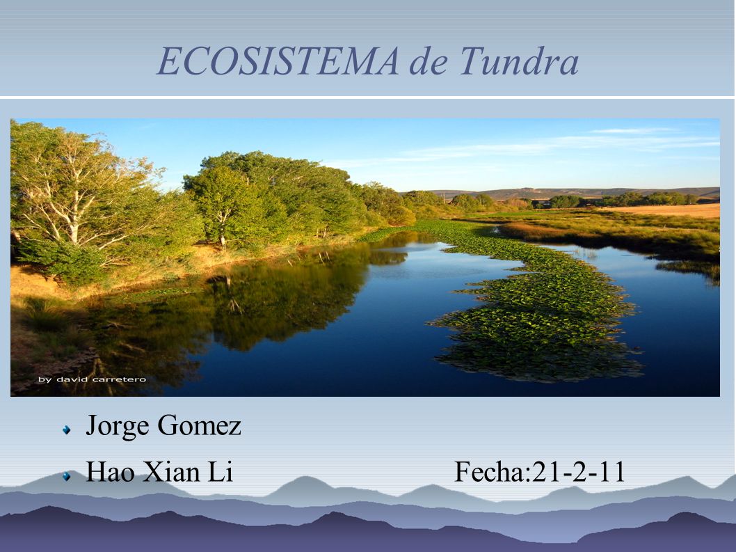 ECOSISTEMA de Tundra Jorge Gomez Hao Xian Li Fecha: