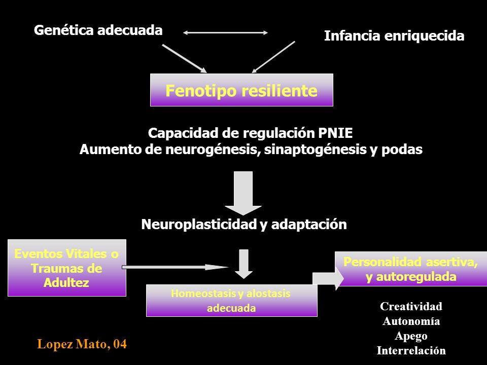 Fenotipo resiliente Genética adecuada Infancia enriquecida