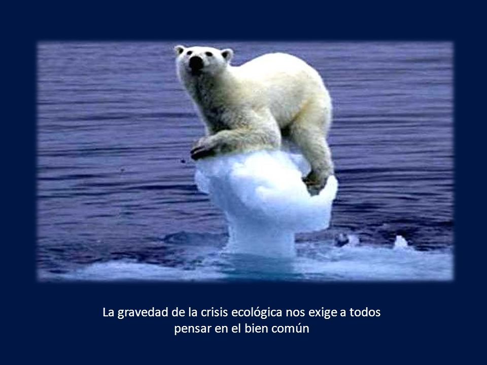 La gravedad de la crisis ecológica nos exige a todos
