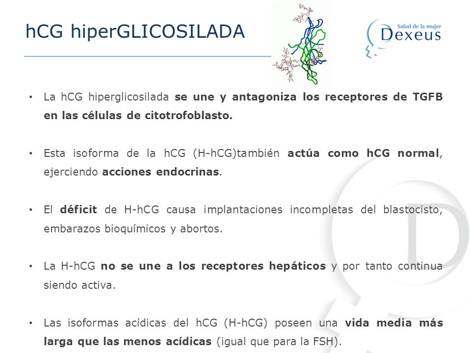 hCG hiperGLICOSILADA La hCG hiperglicosilada se une y antagoniza los receptores de TGFB en las células de citotrofoblasto.
