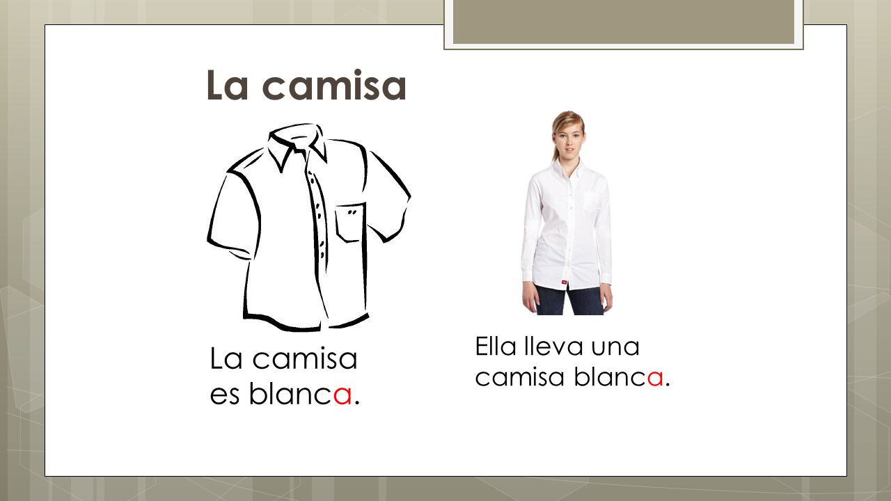La camisa Ella lleva una camisa blanca. La camisa es blanca.