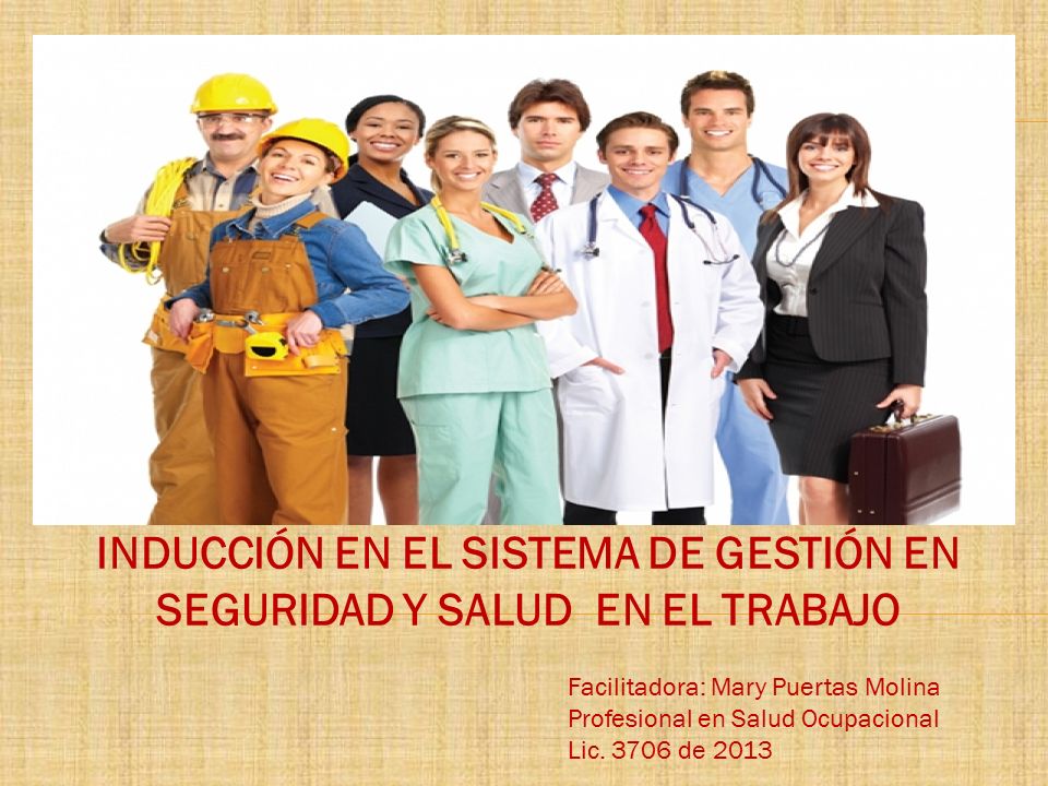 INDUCCIÓN EN EL SISTEMA DE GESTIÓN EN SEGURIDAD Y SALUD EN EL TRABAJO