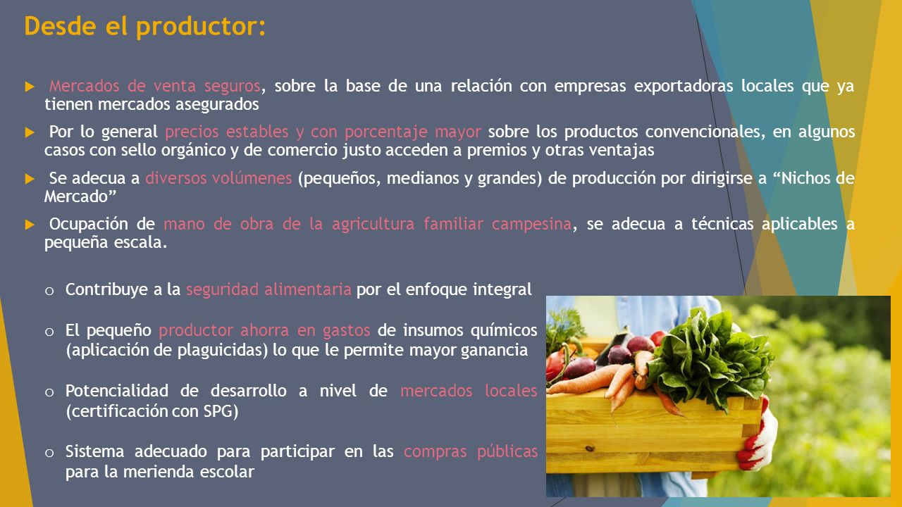 Desde el productor: Mercados de venta seguros, sobre la base de una relación con empresas exportadoras locales que ya tienen mercados asegurados.