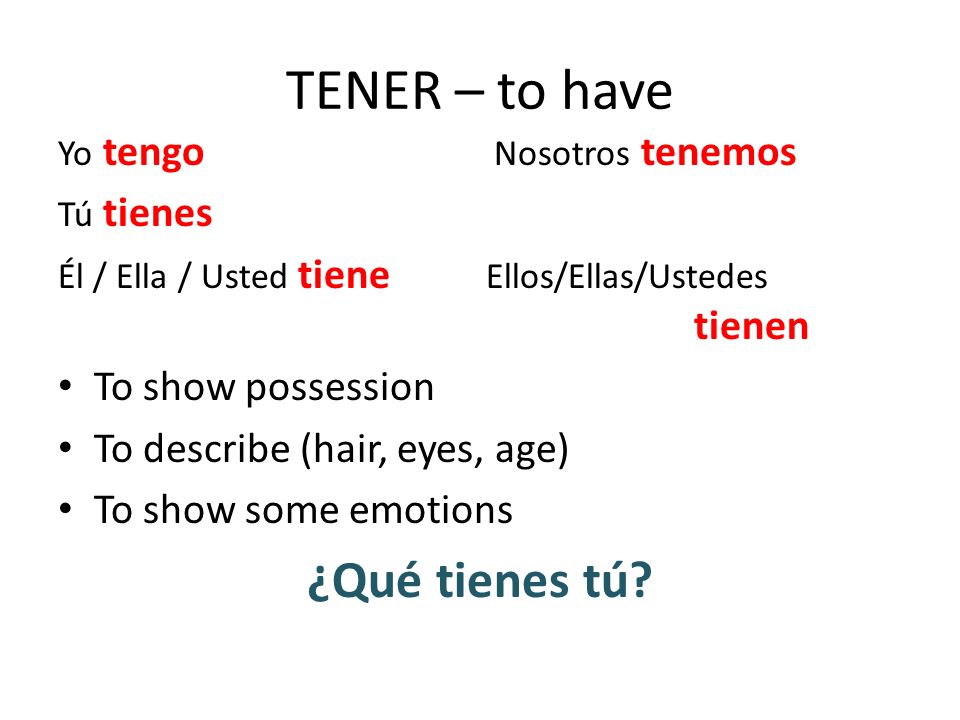 TENER – to have ¿Qué tienes tú To show possession