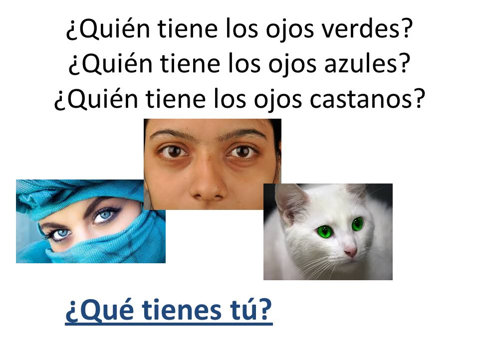 ¿Quién tiene los ojos verdes. ¿Quién tiene los ojos azules