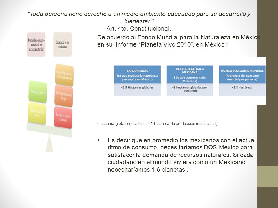 Toda persona tiene derecho a un medio ambiente adecuado para su desarrollo y bienestar. Art. 4to. Constitucional.