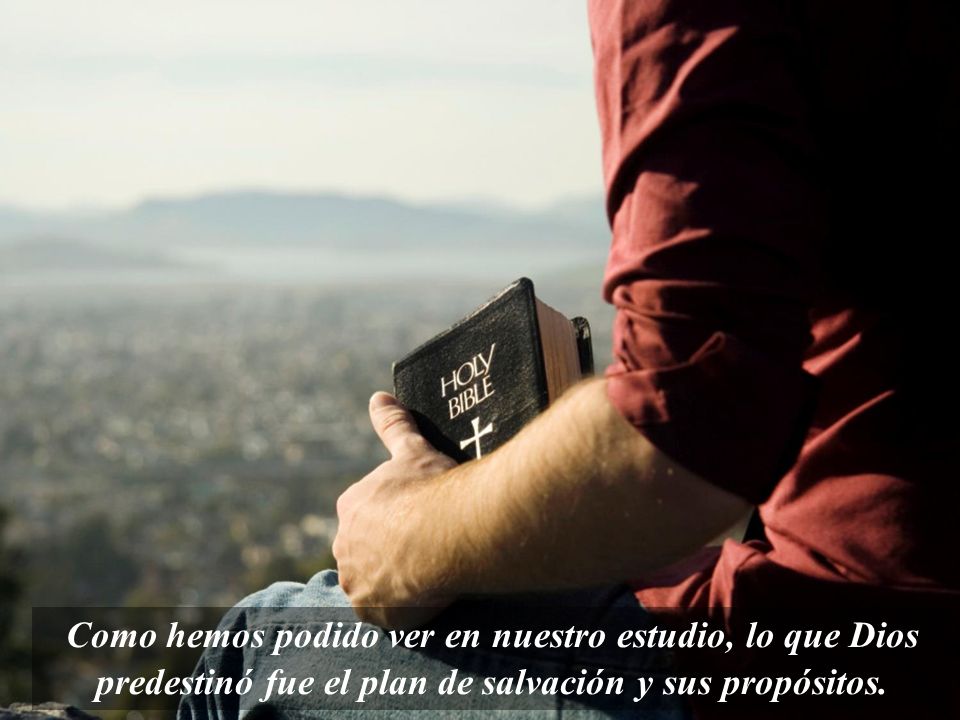 Como hemos podido ver en nuestro estudio, lo que Dios predestinó fue el plan de salvación y sus propósitos.