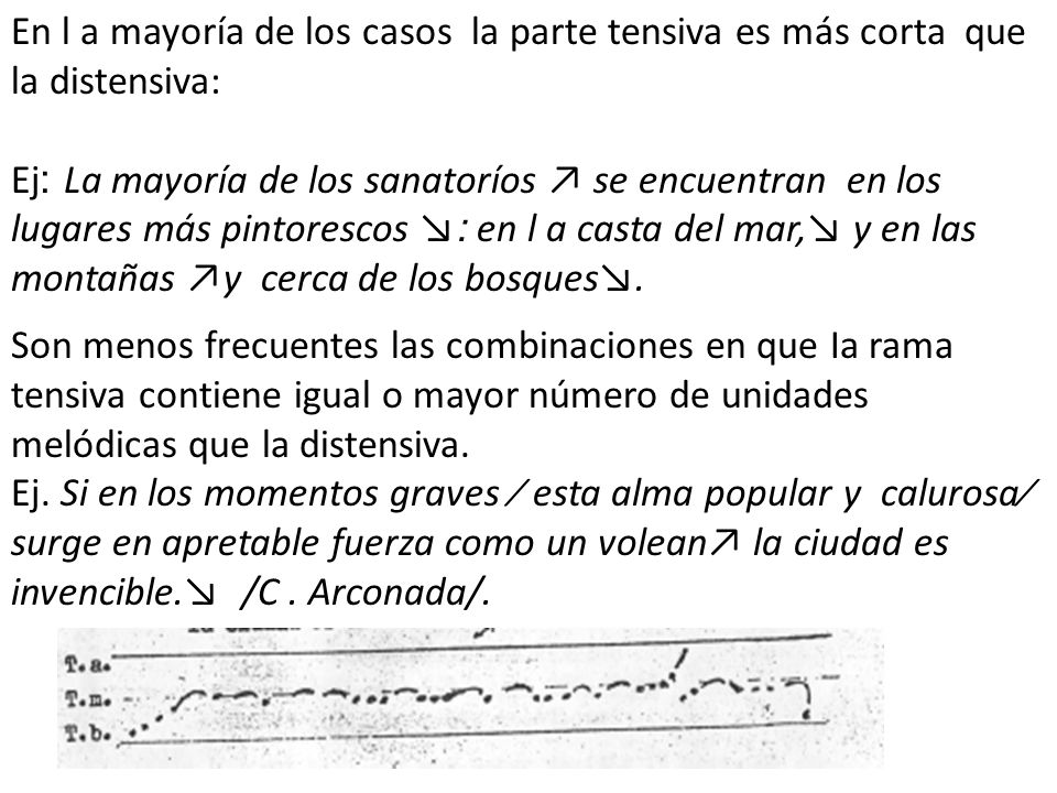 En l a mayoría de los casos la parte tensiva es más corta que la distensiva: