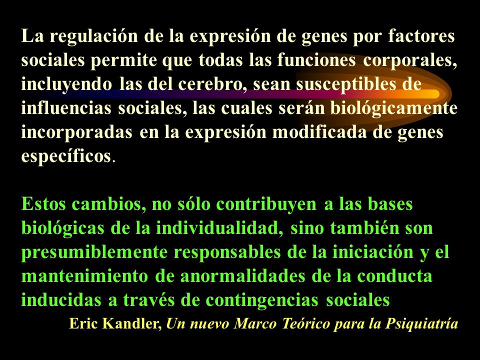 La regulación de la expresión de genes por factores sociales permite que todas las funciones corporales, incluyendo las del cerebro, sean susceptibles de influencias sociales, las cuales serán biológicamente incorporadas en la expresión modificada de genes específicos.