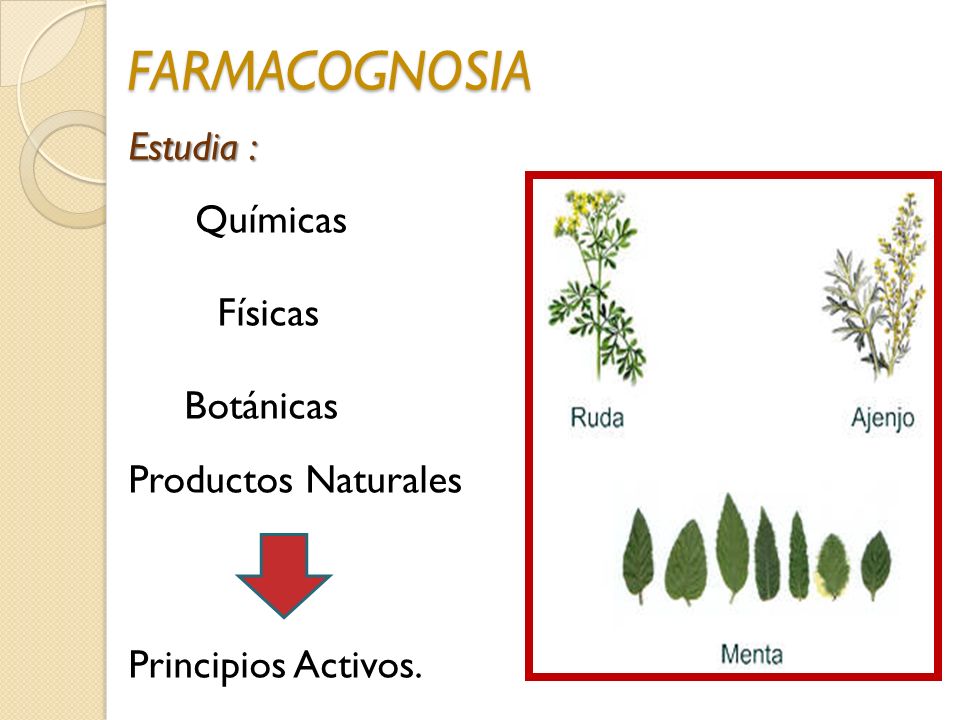 FARMACOGNOSIA Estudia : Químicas Físicas Botánicas Productos Naturales Principios Activos.
