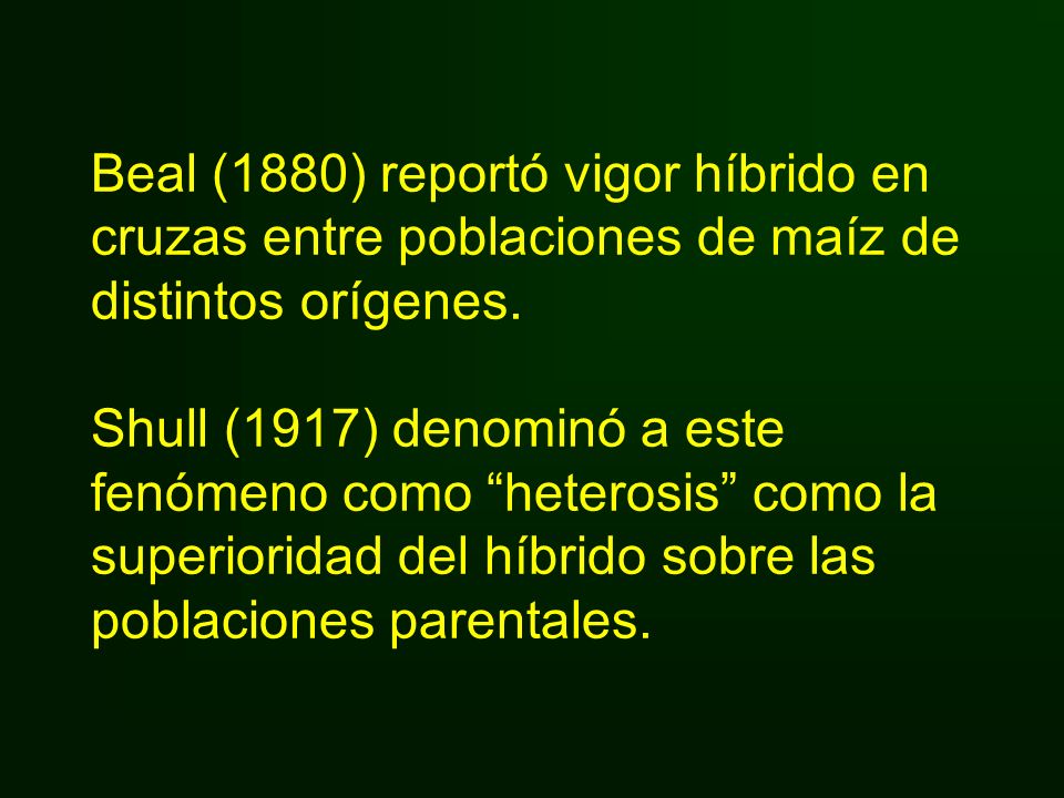 Beal (1880) reportó vigor híbrido en cruzas entre poblaciones de maíz de distintos orígenes.
