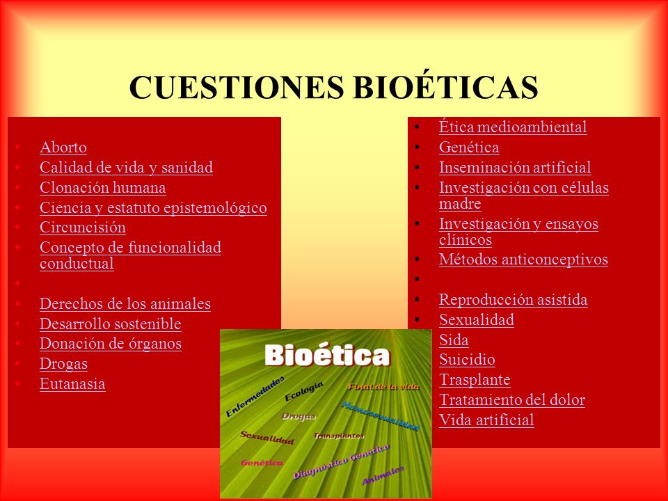 CUESTIONES BIOÉTICAS Aborto Calidad de vida y sanidad Clonación humana