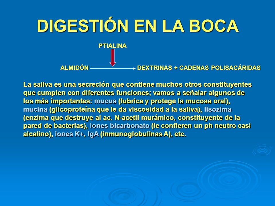 DIGESTIÓN EN LA BOCA PTIALINA. ALMIDÓN DEXTRINAS + CADENAS POLISACÁRIDAS.