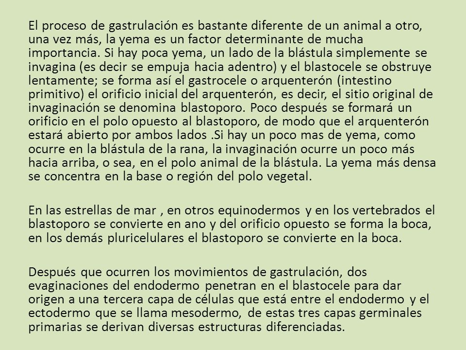El proceso de gastrulación es bastante diferente de un animal a otro, una vez más, la yema es un factor determinante de mucha importancia. Si hay poca yema, un lado de la blástula simplemente se invagina (es decir se empuja hacia adentro) y el blastocele se obstruye lentamente; se forma así el gastrocele o arquenterón (intestino primitivo) el orificio inicial del arquenterón, es decir, el sitio original de invaginación se denomina blastoporo. Poco después se formará un orificio en el polo opuesto al blastoporo, de modo que el arquenterón estará abierto por ambos lados .Si hay un poco mas de yema, como ocurre en la blástula de la rana, la invaginación ocurre un poco más hacia arriba, o sea, en el polo animal de la blástula. La yema más densa se concentra en la base o región del polo vegetal.