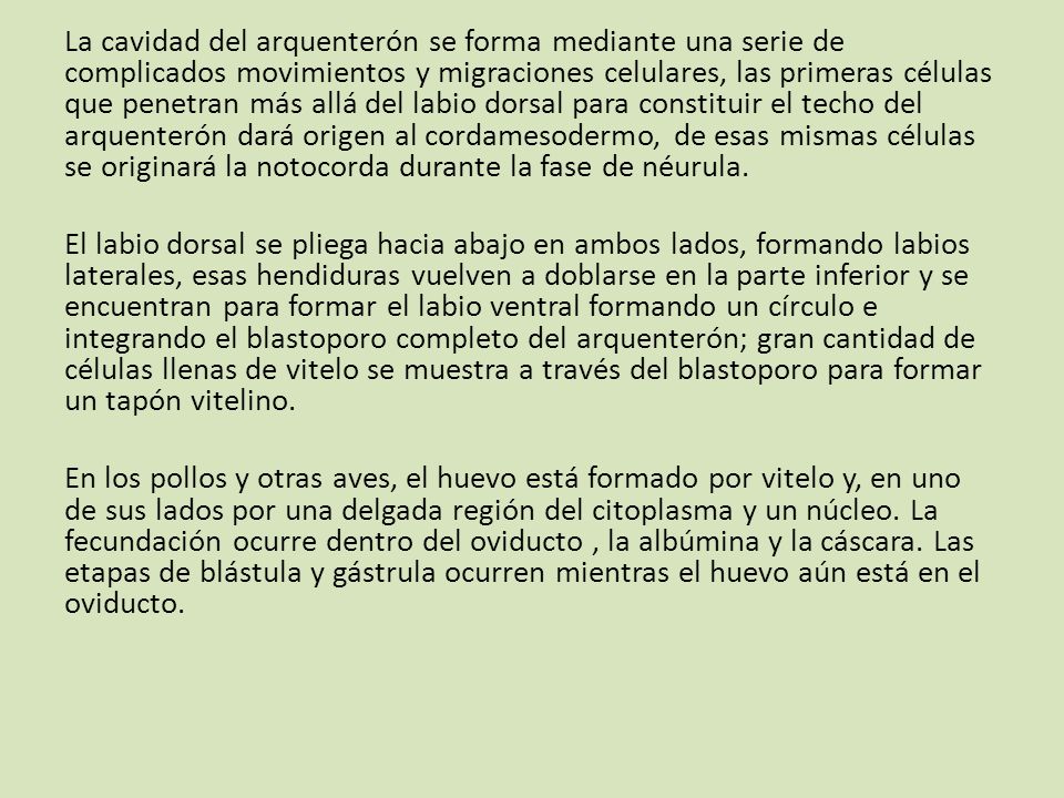 La cavidad del arquenterón se forma mediante una serie de complicados movimientos y migraciones celulares, las primeras células que penetran más allá del labio dorsal para constituir el techo del arquenterón dará origen al cordamesodermo, de esas mismas células se originará la notocorda durante la fase de néurula.