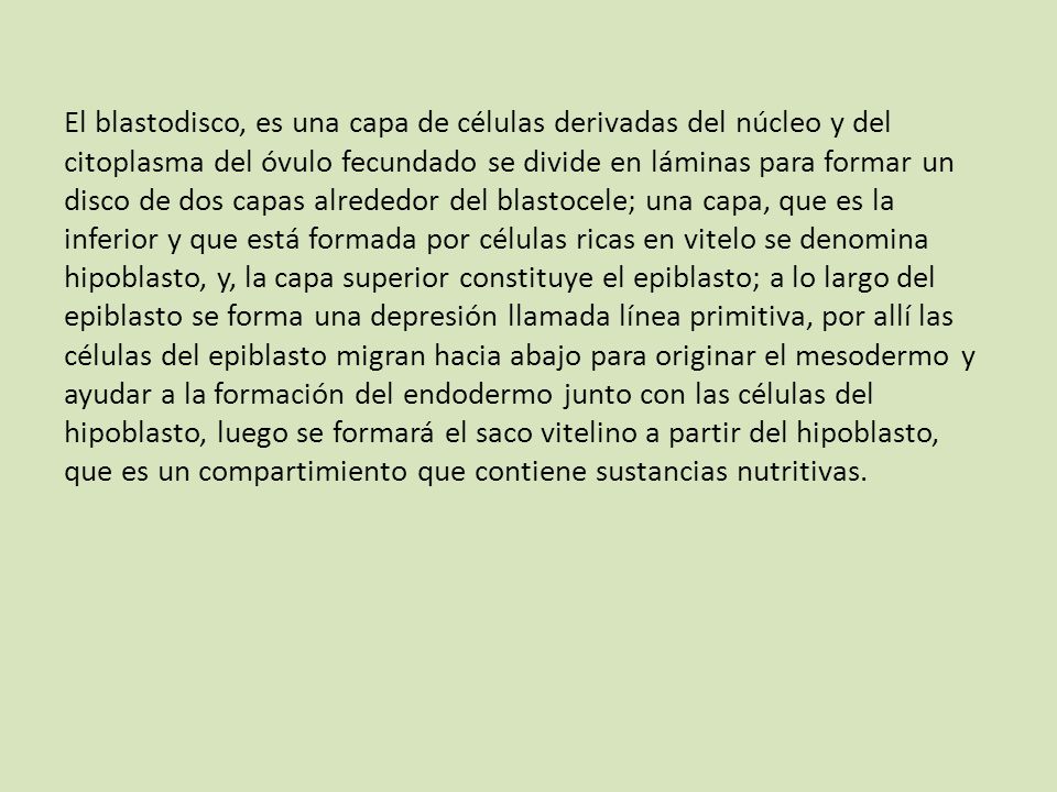 El blastodisco, es una capa de células derivadas del núcleo y del citoplasma del óvulo fecundado se divide en láminas para formar un disco de dos capas alrededor del blastocele; una capa, que es la inferior y que está formada por células ricas en vitelo se denomina hipoblasto, y, la capa superior constituye el epiblasto; a lo largo del epiblasto se forma una depresión llamada línea primitiva, por allí las células del epiblasto migran hacia abajo para originar el mesodermo y ayudar a la formación del endodermo junto con las células del hipoblasto, luego se formará el saco vitelino a partir del hipoblasto, que es un compartimiento que contiene sustancias nutritivas.