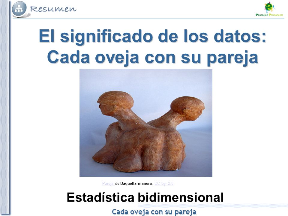 El significado de los datos: Cada oveja con su pareja