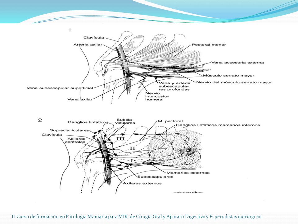 II Curso de formación en Patología Mamaria para MIR de Cirugía Gral y Aparato Digestivo y Especialistas quirúrgicos