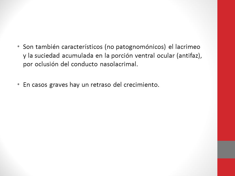 Son también característicos (no patognomónicos) el lacrimeo y la suciedad acumulada en la porción ventral ocular (antifaz), por oclusión del conducto nasolacrimal.