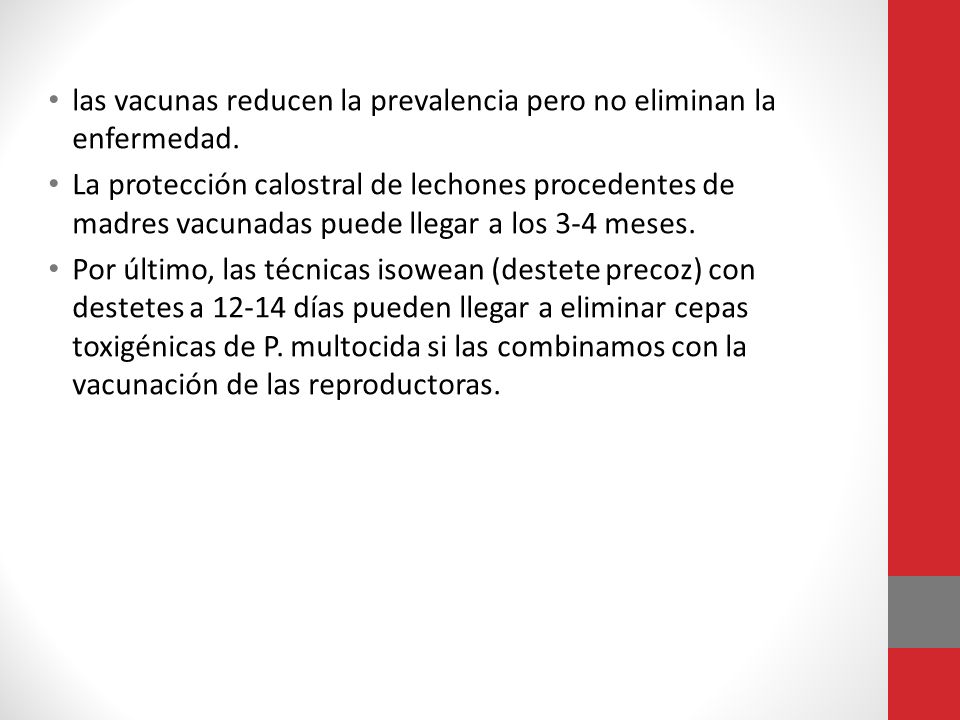 las vacunas reducen la prevalencia pero no eliminan la enfermedad.