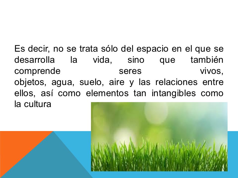 Es decir, no se trata sólo del espacio en el que se desarrolla la vida, sino que también comprende seres vivos, objetos, agua, suelo, aire y las relaciones entre ellos, así como elementos tan intangibles como la cultura
