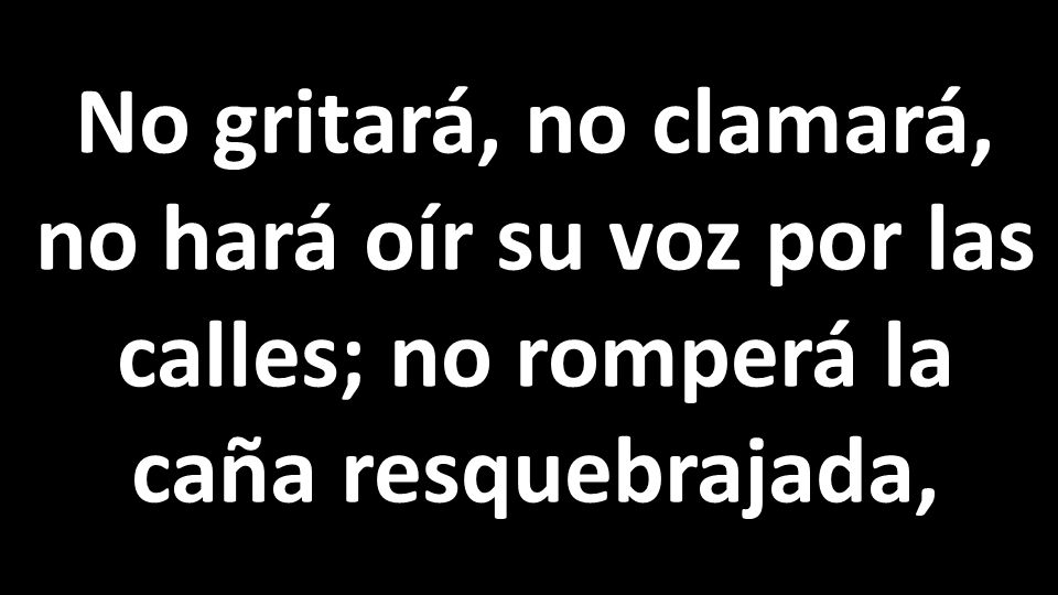 No gritará, no clamará, no hará oír su voz por las calles; no romperá la caña resquebrajada,