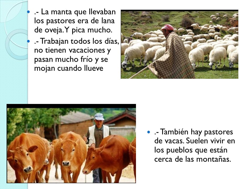 .- La manta que llevaban los pastores era de lana de oveja. Y pica mucho.